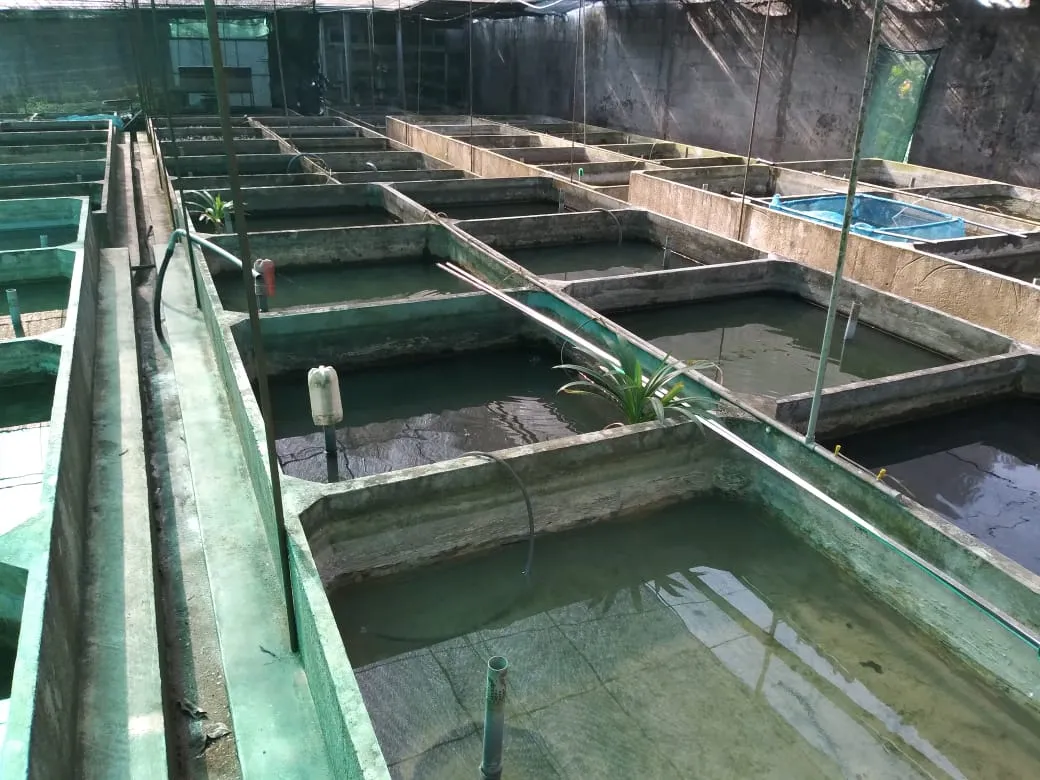 Another view of the Diyon Water Pets farm