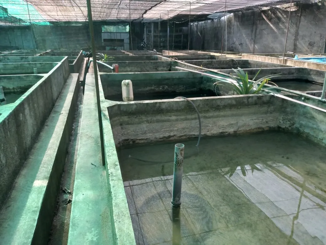 Diyon Water Pets farm 3