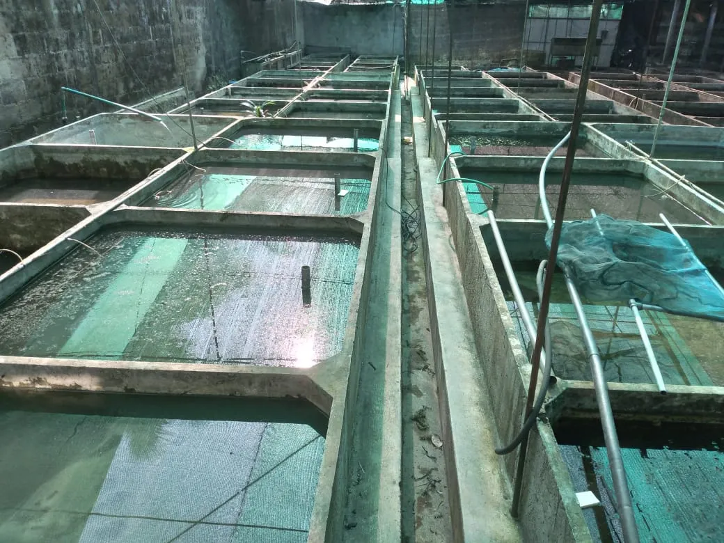 Diyon Water Pets farm 5